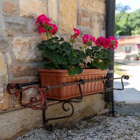 Holiday House Hana Rovinj Exterior photo