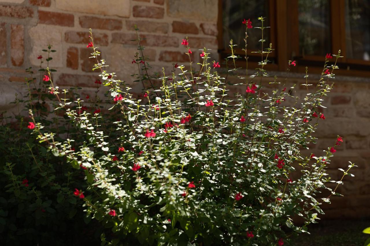 House Hana Rovinj